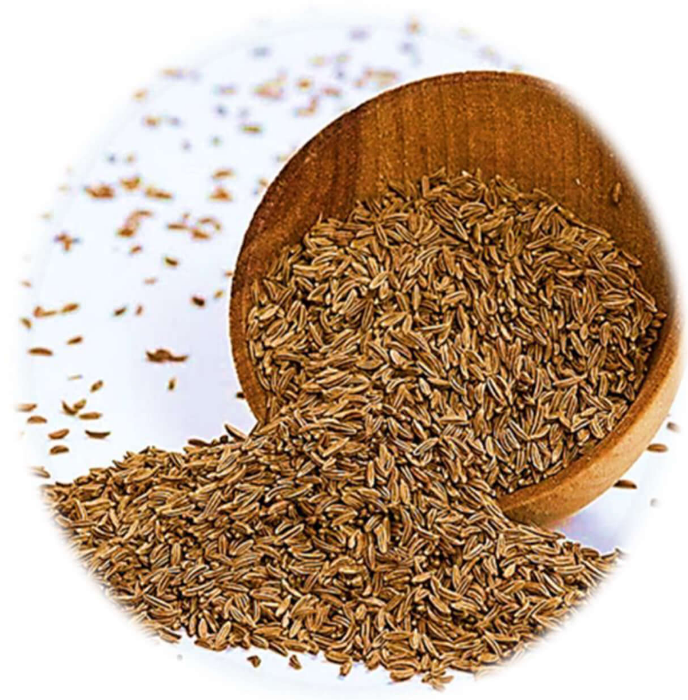 Caraway