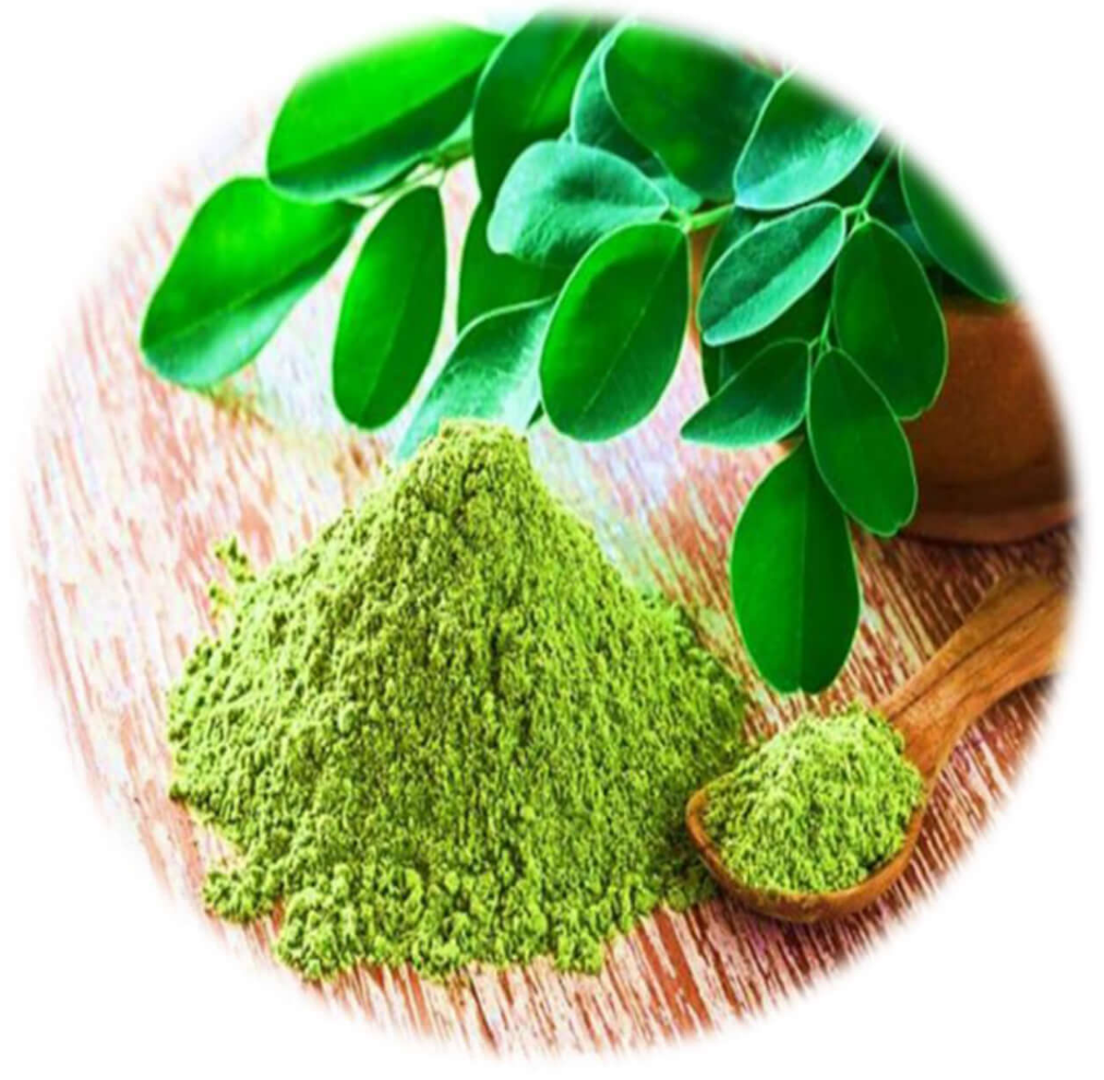 Moringa